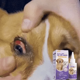 👩‍⚕️GFOUK® NanoCare Pet Eye Drops ☑️ FDA Approved | Relieves Conjunctivitis, Dry Eyes, Cataracts, and Keratitis up