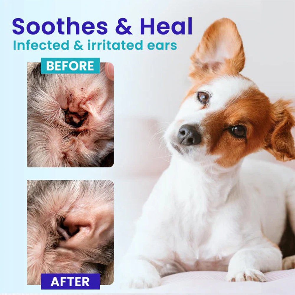🌟 Official Store | Celsiora® Pet EarPro Drops FM+