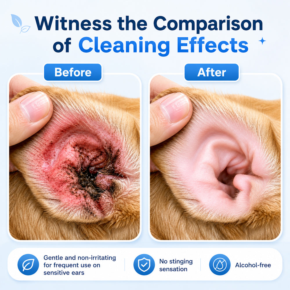 👩‍⚕️Celsiora® Pet Ear Cleansing Solution✅ FDA Approved 🐶