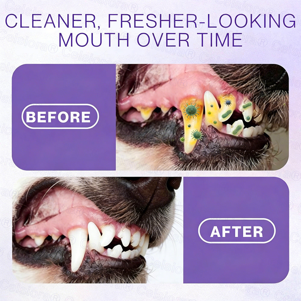 Celsiora® Pet Oral Spray ✅FDA Approved | Freshen Breath, Remove Tartar & Promote gum regeneration, stabilize teeth 🦷🦷