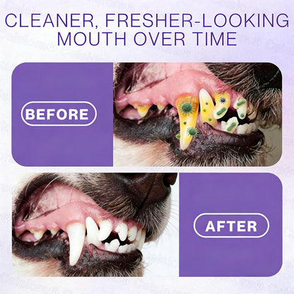 Celsiora® Pet Oral Spray ✅FDA Approved | Freshen Breath, Remove Tartar & Promote gum regeneration, stabilize teeth 🦷🦷