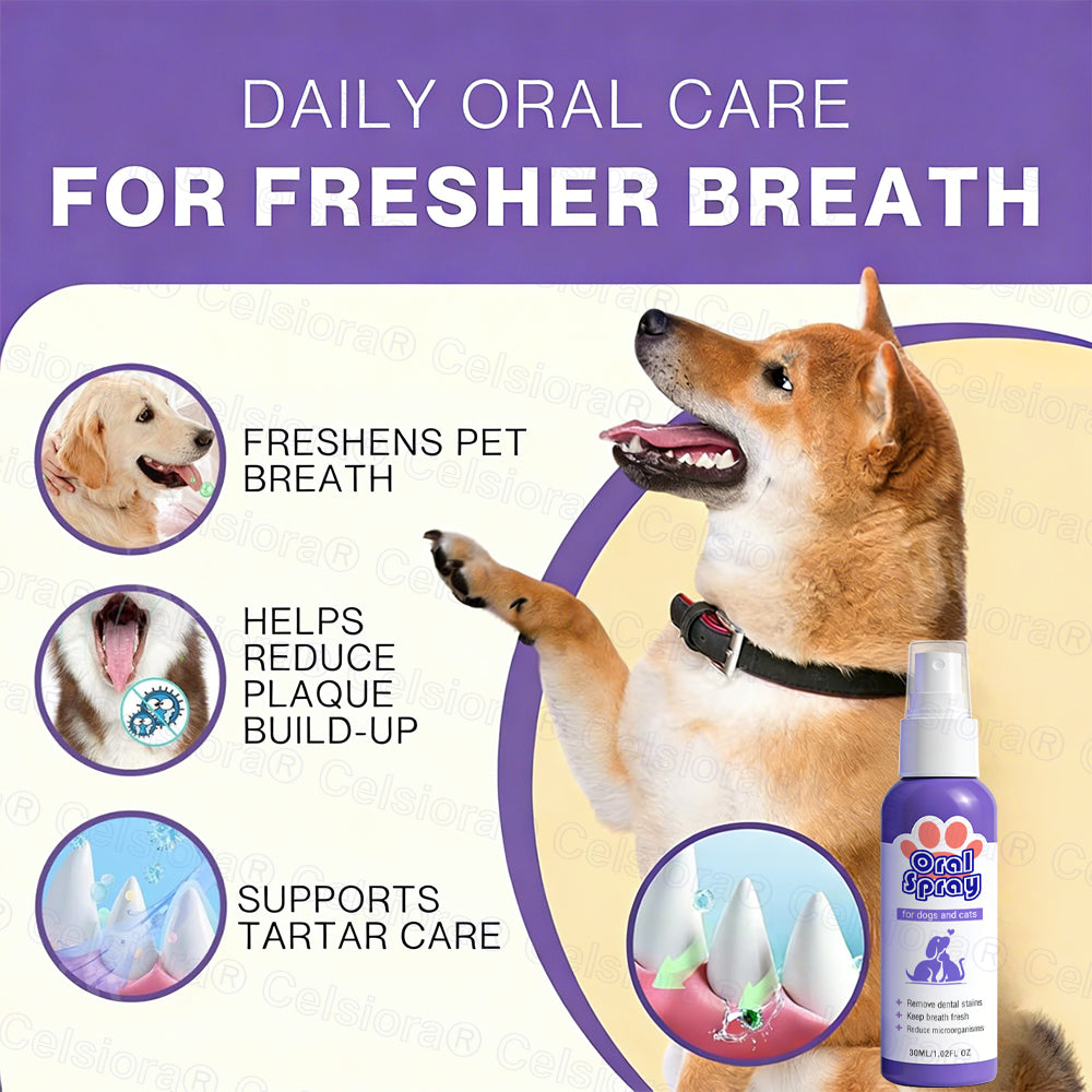 Celsiora® Pet Oral Spray ✅FDA Approved | Freshen Breath, Remove Tartar & Promote gum regeneration, stabilize teeth 🦷🦷