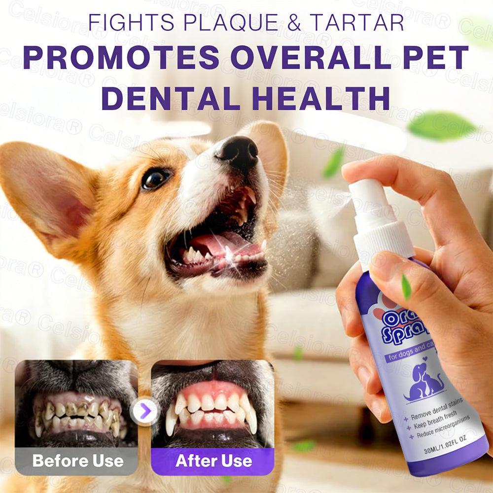 Celsiora® Pet Oral Spray ✅FDA Approved | Freshen Breath, Remove Tartar & Promote gum regeneration, stabilize teeth 🦷🦷