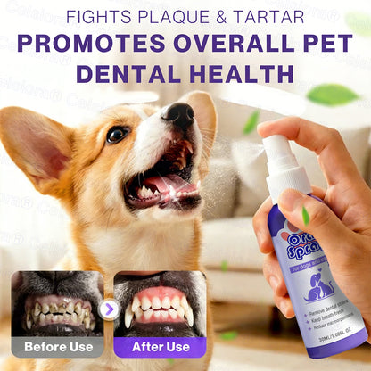 Celsiora® Pet Oral Spray ✅FDA Approved | Freshen Breath, Remove Tartar & Promote gum regeneration, stabilize teeth 🦷🦷